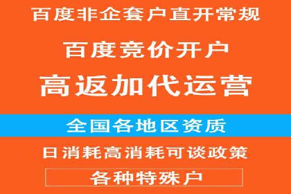 竞价端口开户后的广告投放策略案例